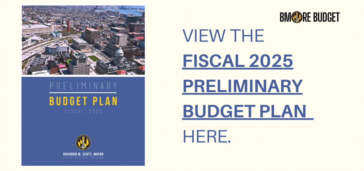 Fiscal 2025 Preliminary Budget 